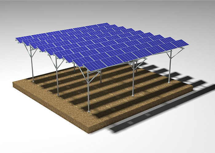 Solar mounting structure for agriculture