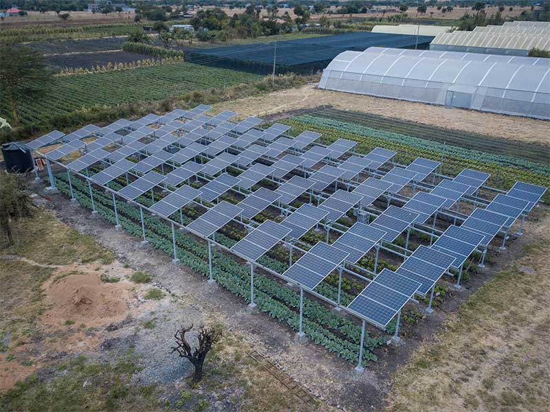Montaje de granja solar agrícola