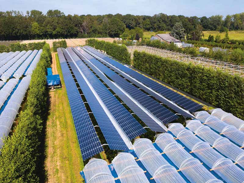 Sistema de montaje agrícola fotovoltaico