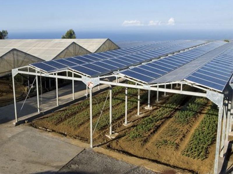 Montaje de invernadero en granja solar
