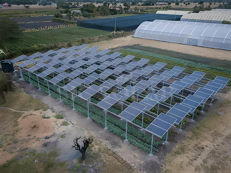 Sistema de granja de invernadero fotovaltaico.