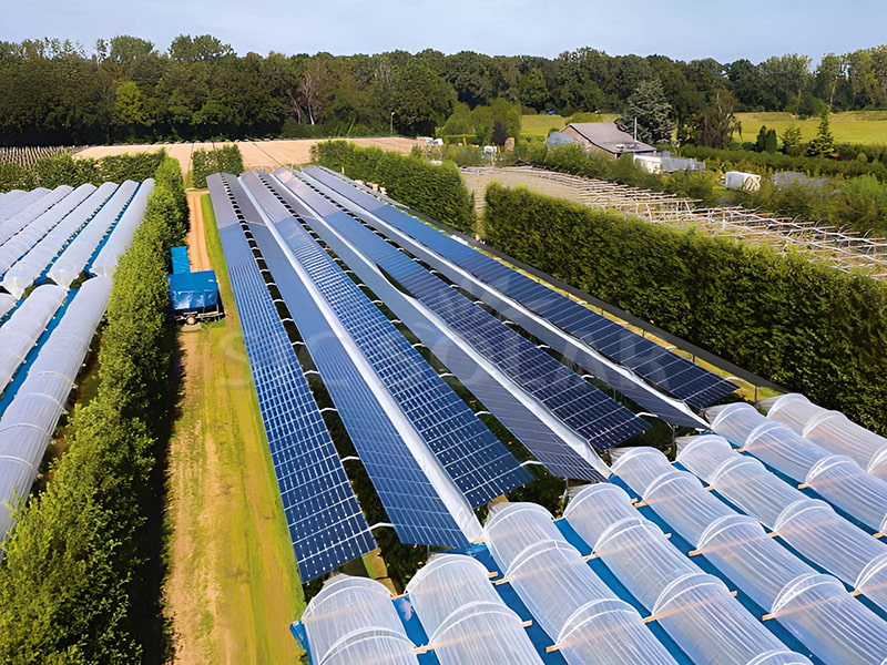 Sistema de montaje agrícola fotovoltaico