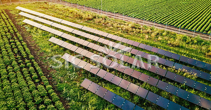 solar for agriculture