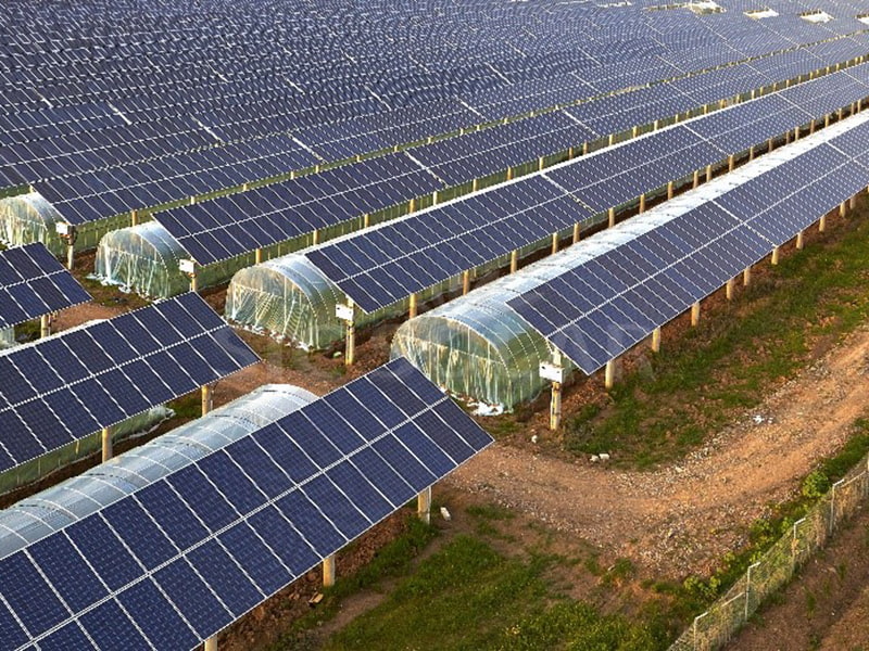 Sistema de montaje solar agrícola de 10 MW en India