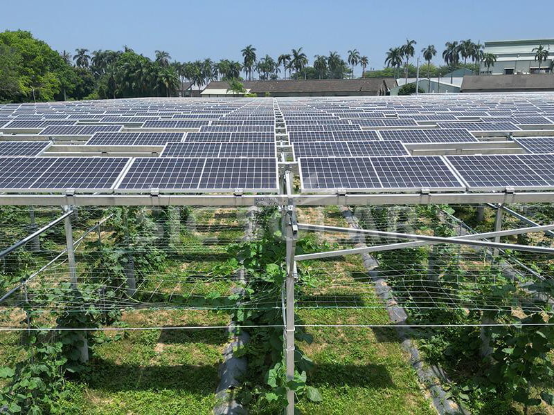 Soporte de soporte solar fotovoltaico agrícola de 500 kW en Estados Unidos